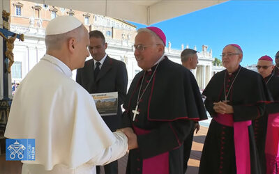 Els pelegrins de l’arxidiòcesi assisteixen a l’audiència general del papa Lleó XIV