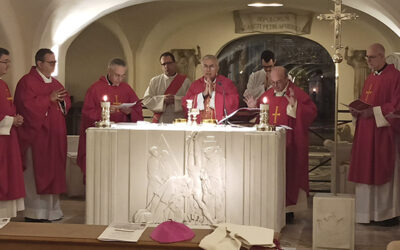 Els seminaristes catalans visitaran el papa Lleó XIV aquest dissabte dia 28 de febrer