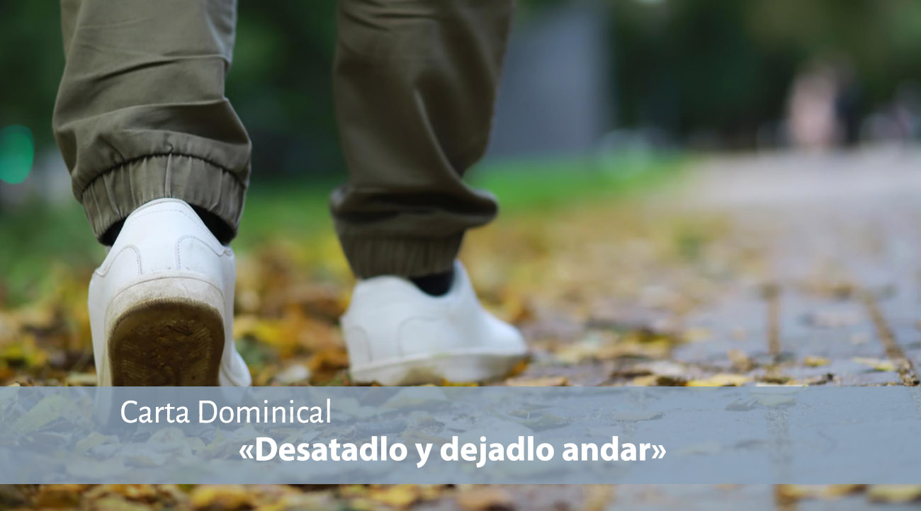 Youtube-22-03-26_Esp