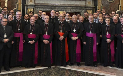 Els seminaristes catalans són rebuts en audiència privada pel papa Lleó XIV