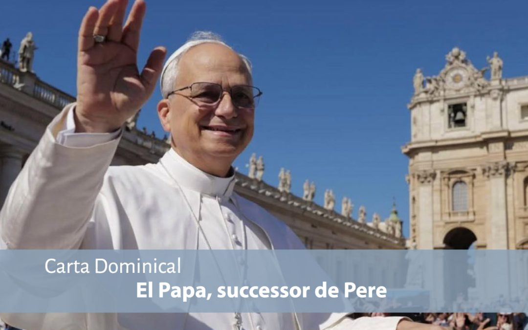 El Papa, sucesor de Pedro