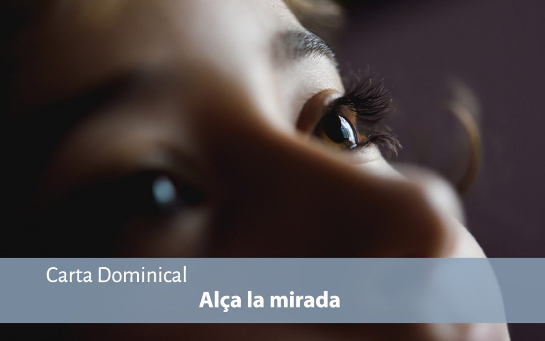 Alça la mirada